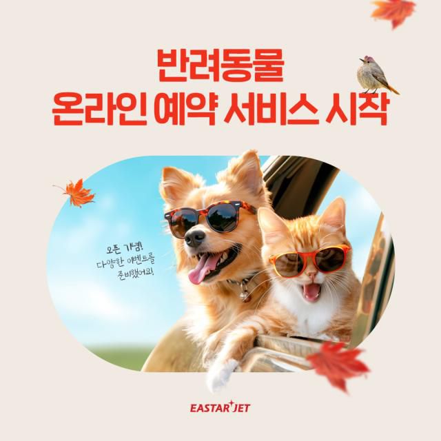 이스타항공 반려동물 온라인 예약 서비스 이미지 [사진=이스타항공]