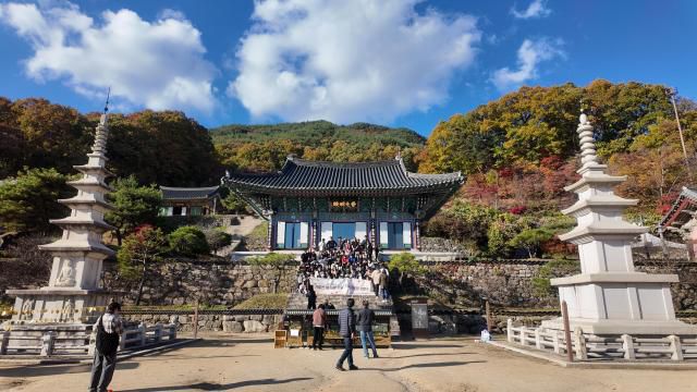 용문사 앞에서 기념 사진을 찍고 있는 여기로 기차여행 관광객들 [사진=김다이 기자]