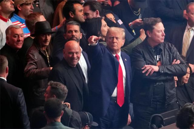 (왼쪽부터) 데이나 화이트 UFC 회장, 도널드 트럼프 미국 대통령 당선인, 일론 머스크 테슬라 CEO [사진=AP·연합뉴스]