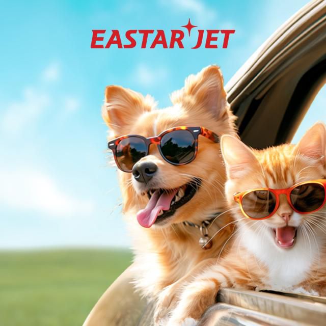 [사진=이스타항공]