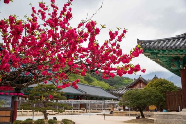 [사진=한국관광공사]