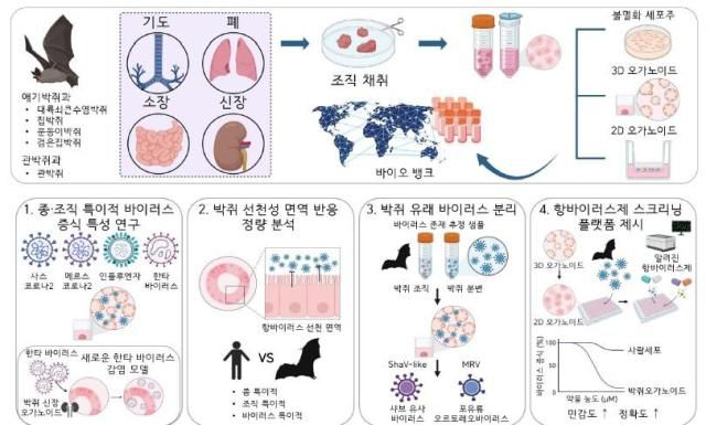 [사진=기초과학연구원]
