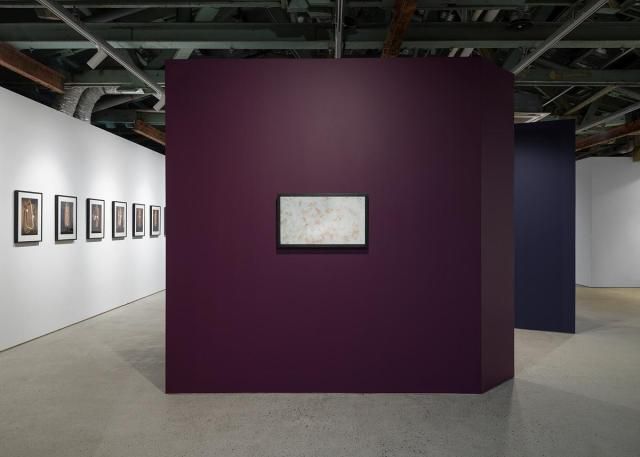 국제갤러리 부산점 정연두 개인전 <불가피한 상황과 피치 못할 사정들 >설치전경 [사진=국제갤러리]