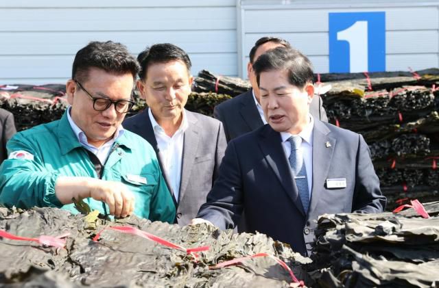 공영민 고흥군수가 마른 다시마의 첫 경매를 진행하고 어업인의 안녕과 안전 조업을 기원하며 다시마 산업의 순조로운 출발을 다짐했다. [사진=고흥군]