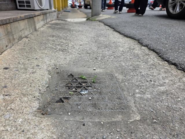 [사진=김옥현 기자]