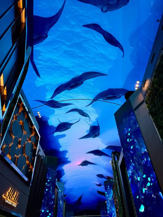 특히 3분간 진행되는 ‘언더 더 블루랜드 쇼’는 인스파이어 미디어 아트 중 최고의 히트작이다. 핑크 고래 영상으로도 잘 알려져 있다. 거대한 흰수염 고래와 다양한 해양 생물이 유영하는 모습이 인상적이다. [사진=강상헌 기자]