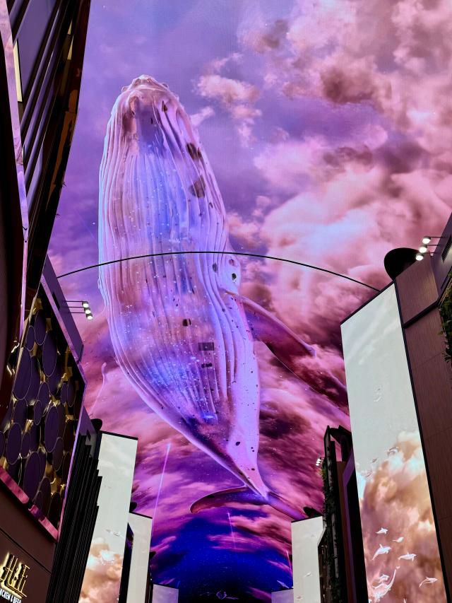 특히 3분간 진행되는 ‘언더 더 블루랜드 쇼’는 인스파이어 미디어 아트 중 최고의 히트작이다. 핑크 고래 영상으로도 잘 알려져 있다. 거대한 흰수염 고래와 다양한 해양 생물이 유영하는 모습이 인상적이다. [사진=강상헌 기자]