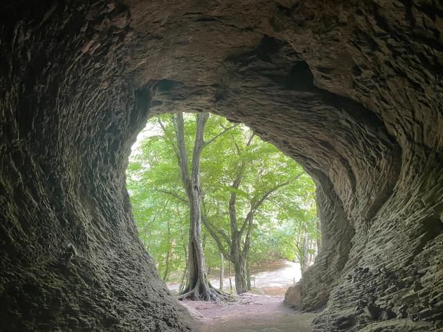 【摄影 记者 陈姗娜】