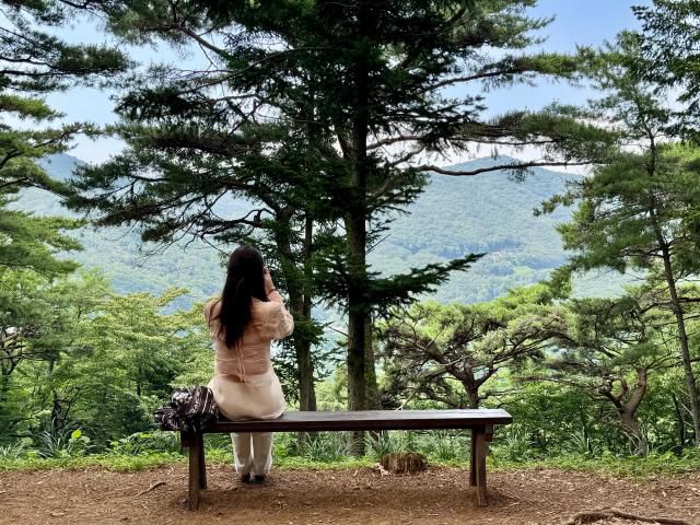 부산 아홉산숲은 자연 본연의 모습을 간직한 숲이다. [사진=강상헌 기자]