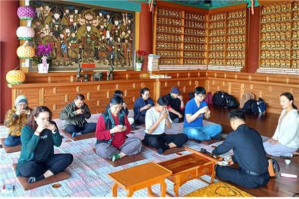 제주평생교육장학진흥원이 운영한 '제주 가치 공감, 글로벌 차학 런케이션' 프로그램에 참여한 외국인들이 제주 차문화 체험을 하고 있다.[사진=제주평생교육장학진흥원]