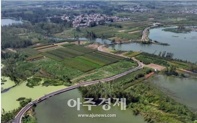 [사진=중국산둥망]