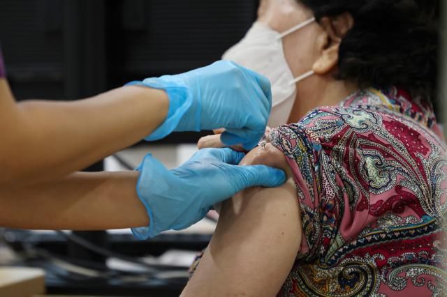 [사진=연합뉴스]