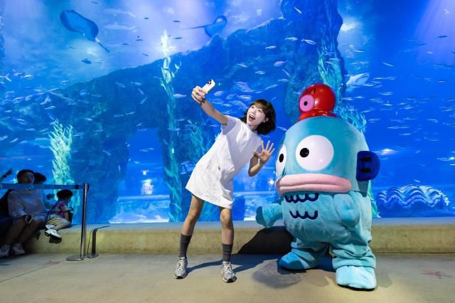 롯데월드 아쿠아리움 한교동 라이브캐릭터 그리팅. [사진=롯데월드]