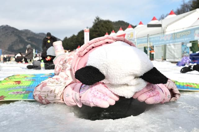 A child lies on the ice to peer into a fishing hole at the Hwacheon Sancheoneo Ice Festival in Hwacheon, Gangwon Province. Jan. 12, 2026. AJP Han Jun-gu