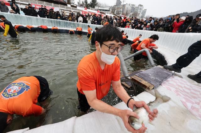 Participants catch mountain trout with their bare hands in icy water at the Hwacheon Sancheoneo Ice Festival in Hwacheon, Gangwon Province. Jan. 12, 2026. AJP Han Jun-gu