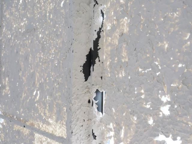 최선아, <진지바(Gingiva)>, 2026, 창문에 스컬피, 1400 x 420 x 19 cm, 사진: 이의록