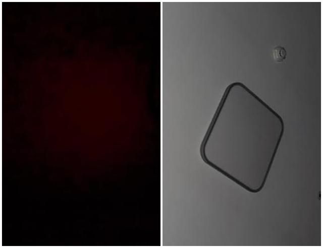 권민아가 16일 새벽 올린 사진(왼쪽)과 해명글에 게시한 사진 [사진=권민아 SNS]