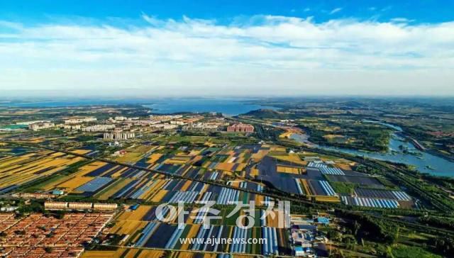 [사진=중국산동망]