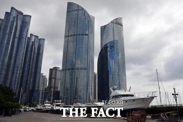 이 교수가 미국에서 매매하려는 요트 '캔터 51 파일럿하우스(Kanter 51 Pilothouse)'는 가격이 최소 한화로 2억 원 상당으로 알려졌다. 지난 8월 부산 해운대구 수영만 요트경기장에서 요트들이 육지로 대피해 있는 모습. /뉴시스