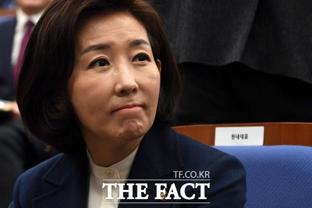 나경원 전 미래통합당 의원이 자신을 여러 차례 고발한 시민단체 대표에 대해 형사고소한 사건이 무혐의 처분됐다. /남윤호 기자