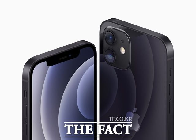 아이폰12미니와 아이폰12에는 4GB 램이 탑재됐을 것으로 관측된다. 아이폰12프로와 아이폰12프로맥스 램은 6GB다. /애플 제공