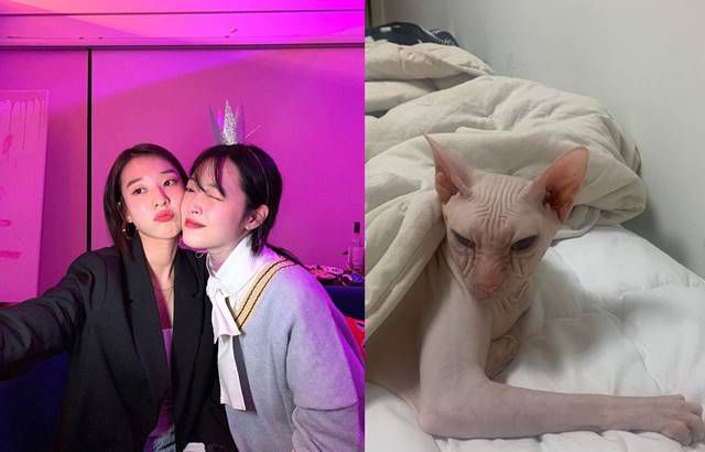 배우 김선아와 설리의 남다른 친분이 알려지면서 두 사람의 관계가 재조명 되고 있다. /김선아 SNS