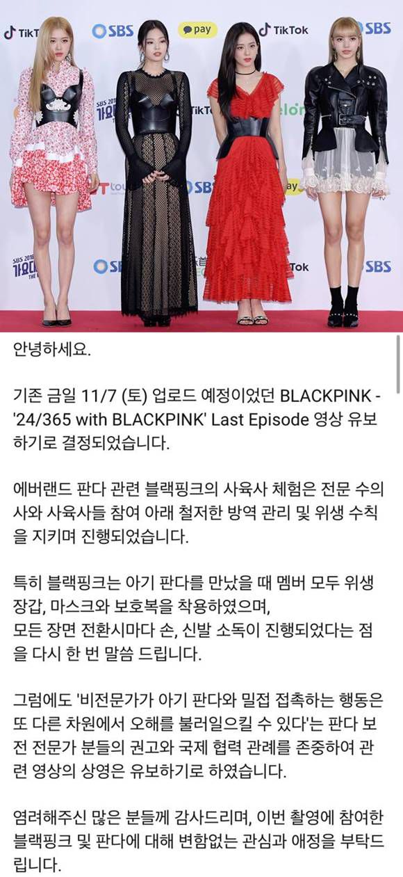 블랙핑크 소속사 YG엔터테인먼트는 지난 7일 유튜브 커뮤니티를 통해 판다와 관련된 논란을 설명하고 영상 공개를 유보했다. /더팩트 DB·블랙핑크 유튜브 커뮤니티