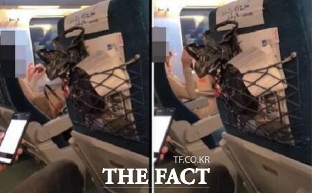 4일 철도특별사법경찰대에 따르면 코레일은 전날 감염병 예방법 위반 및 철도안전법 위반 등 혐의로 A(27·여)씨에 대한 고발장을 경찰에 제출했다. /인터넷 커뮤니티 '보배드림' 캡처