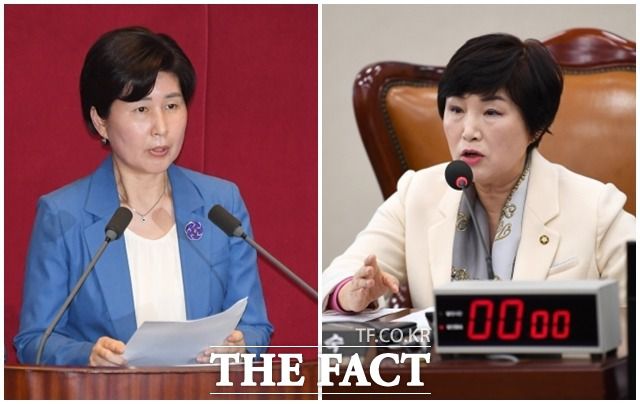 민주당 5·2전당대회 최고위원에 출마한 백혜련(왼쪽), 전혜숙 의원. /배정한·남윤호 기자