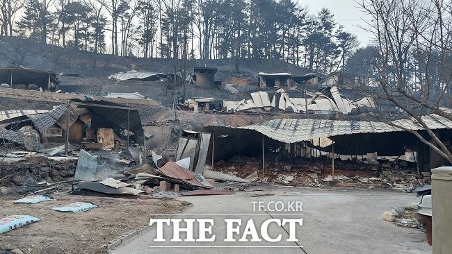 울진산불로 마을이 잿더미로 변했다/울진=이민 기자