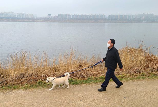 윤석열 대통령 당선인은 23일 기자들과의 차담 자리에서 "(반려견을) 저한테 주시면 잘 키우겠다"면서도 "동물을 그렇게 사람 중심으로만 생각할 게 아니다. 정을 많이 쏟은 주인이 계속 기르게 하는 것이 선물 취지랑 맞는다"고 했다. 사진은 윤 당선인이 지난 13일 오후 서울 한강공원에서 반려견 토리와 함께 산책을 하고 있는 모습. /국민의힘 제공