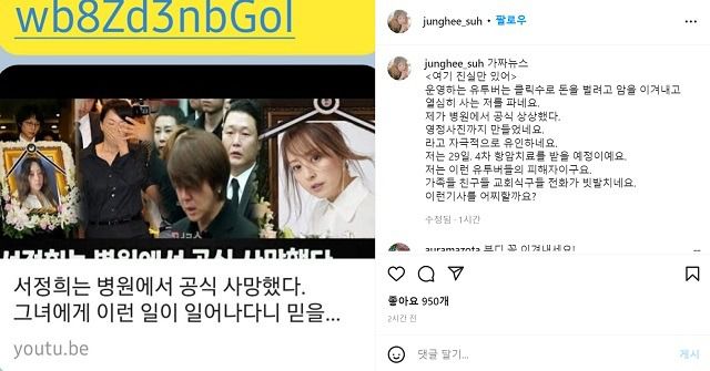 서정희는 27일 자신의 SNS에 가짜뉴스를 올린 유튜버를 지적하면서 피해를 호소했다. /서정희 SNS 캡처