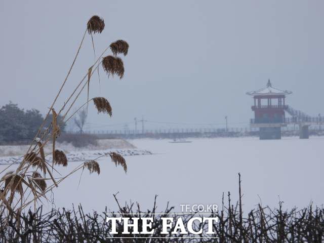 경북도청 수변생태공원 호민지 하회마을로 가는 길목에 놓여있다./안동=오주섭기자
