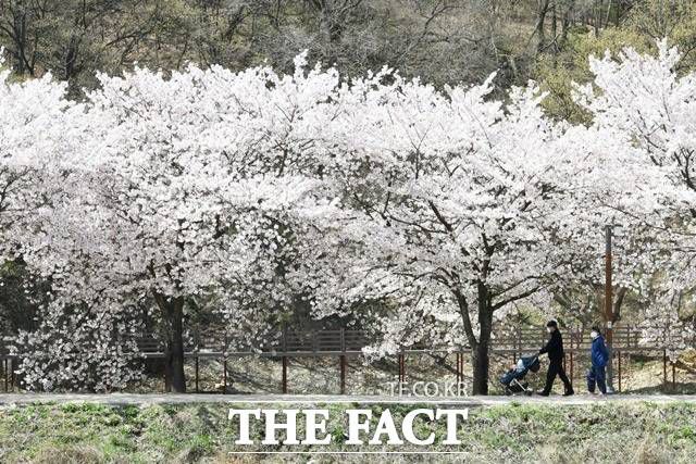 장려상으로 선정된 비슬산 둘레길 / 산림청