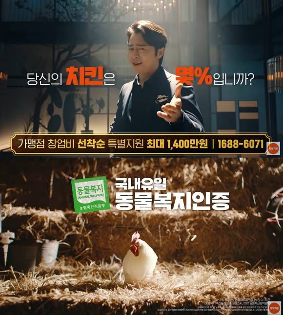 자담치킨은 '친환경 웰빙치킨'과 '대한민국 6% 동물복지 인증 닭 사용'을 전면에 내세워 마케팅을 펼치고 있다. /자담치킨 유튜브 캡처