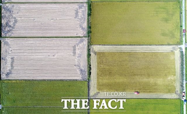 민주당은 쌀값 안정화를 목표로 양곡관리법을 추진해왔다. 반면 정부·여당은 양곡관리법이 쌀 초과 생산을 막지 못하고 국가 재정에도 부담이 된다며 반대 입장을 고수해 왔다. /더팩트 DB