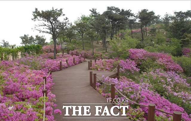 우수 숲길로 선정된 백양산 나들숲길 / 산림청