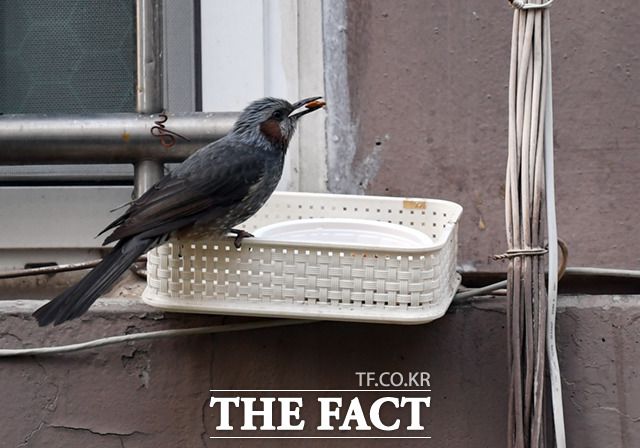 '이제 진짜 마지막'