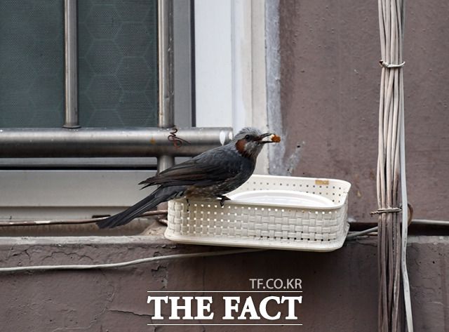 '한 알 더 먹어야지~'