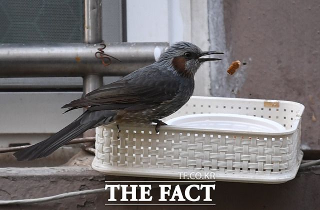 '하나 더 들어올려~'