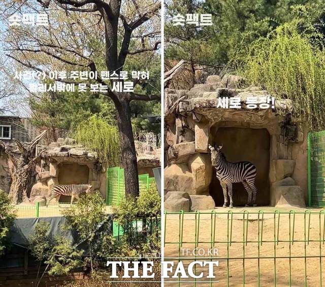 세로 사육장 주변은 펜스로 막혀 있다. 관람객 출입이 통제됐다. /[숏팩트] 갈무리