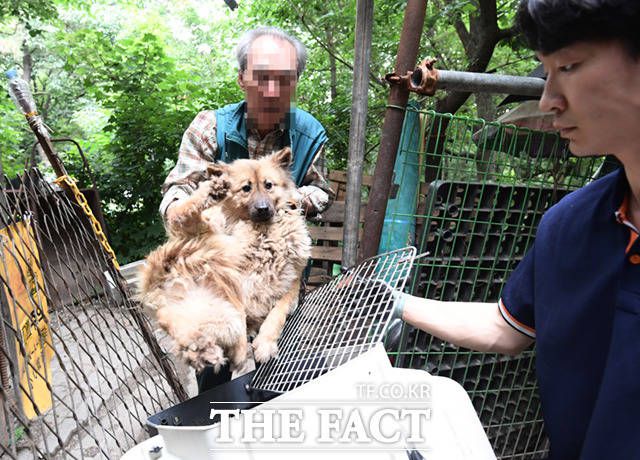 박 씨는 이날 양도하기로 한 개들을 한 마리씩 직접 데리고 나왔다.
