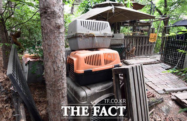 1일 오전 서울 도봉구 북한산국립공원 등산로에 위치한 불법 개 사육장의 입구. 입구에 크고 작은 이동장들이 놓여 있다.