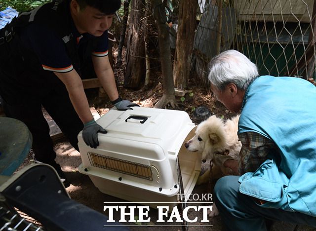 박 씨가 직접 개들을 이동장에 싣고 있다.
