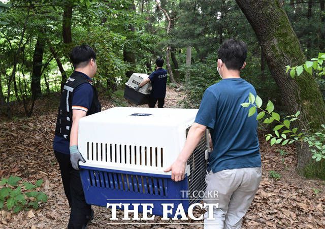 이날 총 5마리의 개가 사육장에서 구조됐다.
