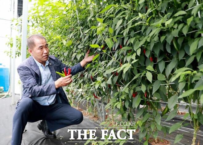 김석현 영양군의회 의장./영양군