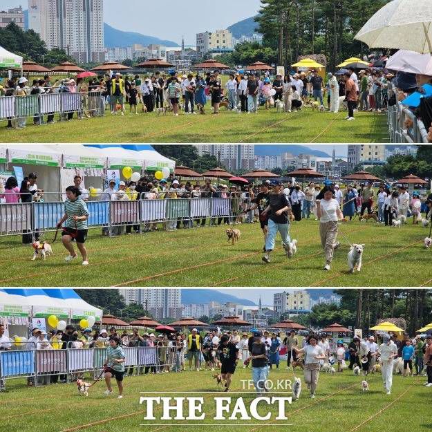 경북 경산시가 주관하고 <더팩트>가 후원한 '제1회 반려동물문화축제'가 10일 경산 남천 강변에서 열였다./경산=김은경 기자