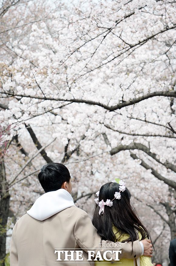 전문가들은 친밀함이 악용될 가능성이 높은 '데이트폭력'을 일반 형법으로 다루게 되면 처벌 수위가 세지 않다고 말한다. 기사와 사진은 무관함. /임영무 기자