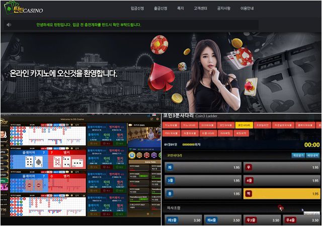 북한 IT 조직의 불법 도박 사이트 제작·판매 관련 자료. /국가정보원