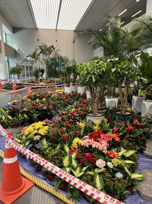 이날 삼성전자 노사는 단체행동 장소를 두고 갈등을 빚었다. 직장인 익명 커뮤니티 '블라인드'에는 삼성전자가 노조의 단체 행동을 막기위해 DSR 로비에 화단을 조성하고, 입구에 바리케이드를 쳤다고 주장하는 글이 올라왔다. /블라인드 캡처